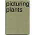 Picturing Plants