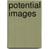 Potential Images