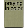 Praying in Color door Sybil Macbeth