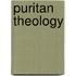 Puritan Theology