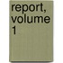 Report, Volume 1