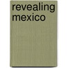 Revealing Mexico door John Mack