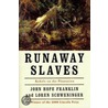 Runaway Slaves P by Loren Schweninger