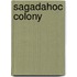 Sagadahoc Colony