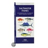 Saltwater Fishes by James Kavanaugh