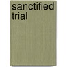 Sanctified Trial door Eliza Rhea Anderson Fain