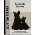 Scottish Terrier