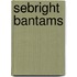 Sebright Bantams