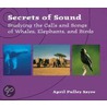 Secrets Of Sound door April Pulley Sayre