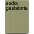 Sedia Gestatoria