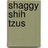 Shaggy Shih Tzus