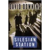 Silesian Station by David Downing