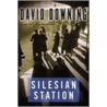 Silesian Station door David Downing