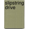 Slipstring Drive door Andrew L. Bender