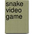 Snake Video Game