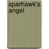 Sparhawk's Angel
