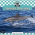 Spinner Dolphins