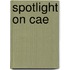 Spotlight On Cae