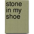 Stone In My Shoe