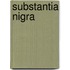 Substantia Nigra