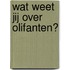 Wat weet jij over Olifanten?