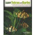 Tetras And Barbs