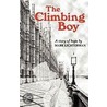The Climbing Boy by Mark Lichterman