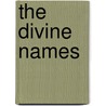 The Divine Names door Dionysius