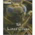 The Insect Class