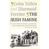 The Irish Famine door Diarmaid Ferriter