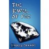 The Jewel of Fez door Molly Cummins