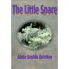 The Little Space door Alicia Ostriker