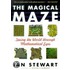 The Magical Maze