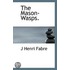 The Mason-Wasps.