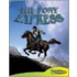The Pony Express