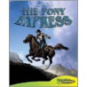 The Pony Express by Joeming W. Dunn