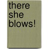 There She Blows! door James Cooper Wheeler