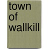 Town of Wallkill door Dorothy Hunt-Ingrassia