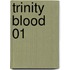 Trinity Blood 01