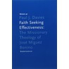 Faith Seeking Effectiveness door Peter J. Davies