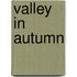 Valley In Autumn