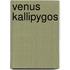 Venus Kallipygos