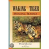 Waking the Tiger door Peter Levine