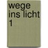 Wege ins Licht 1