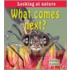 What Comes Next?