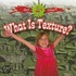 What Is Texture?