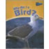 Why Am I a Bird?