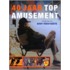 40 jaar Topamusement