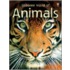 World Of Animals