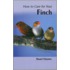 Your First Finch